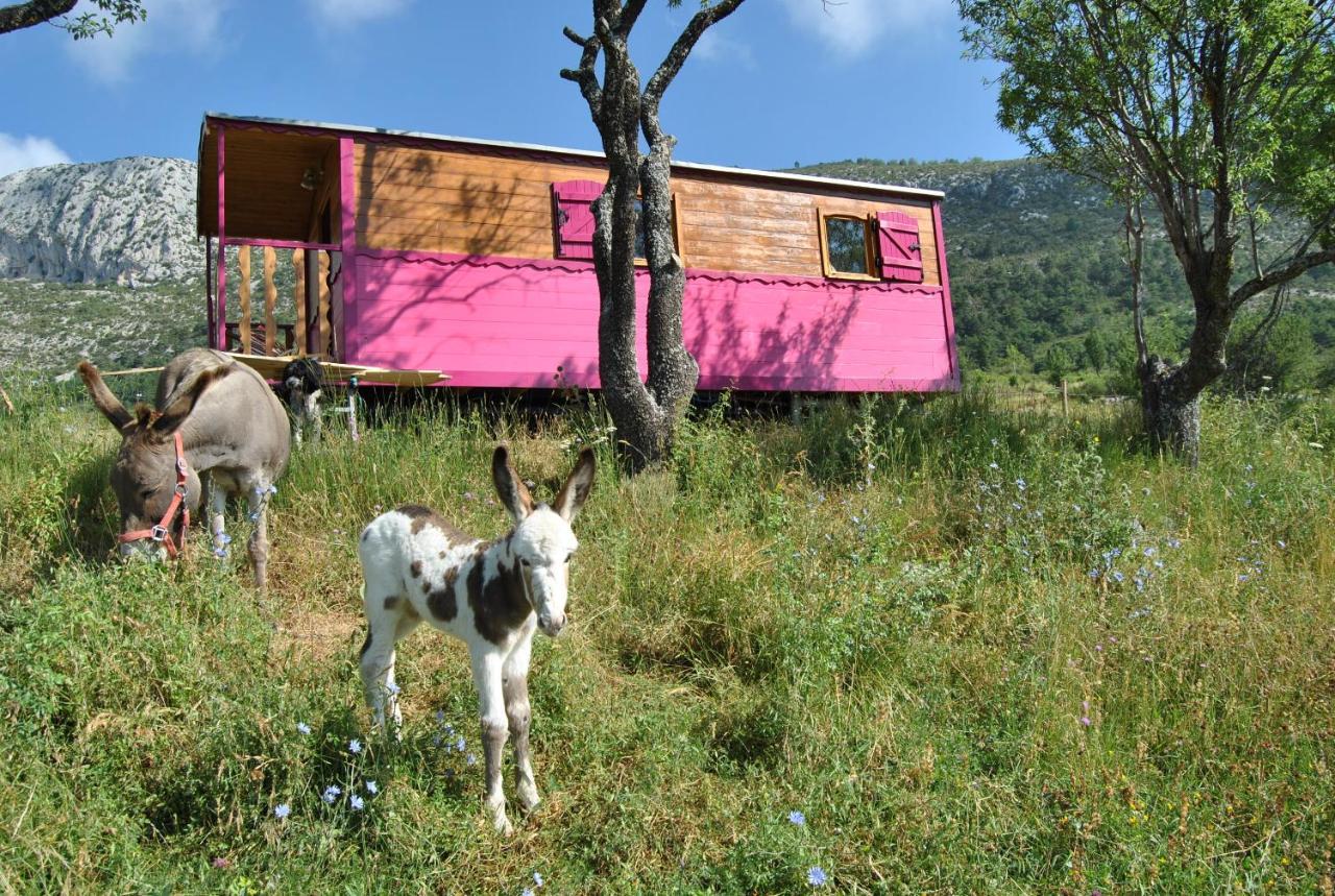 Ferme Saint Pierre Bargème Exterior foto